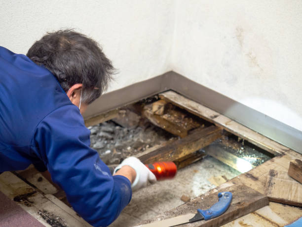 Best Crawl Space Mold Removal  in Badin, NC