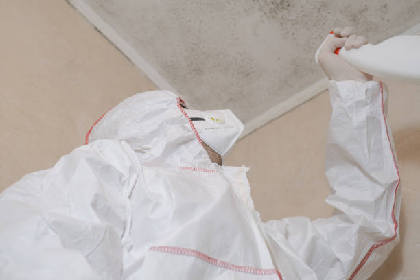 Professional Mold Removal in Badin, NC